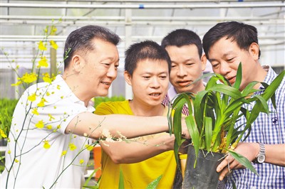http://www.people.com.cn/mediafile/pic/20170417/14/303516276567562354.jpg